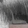 Swans I